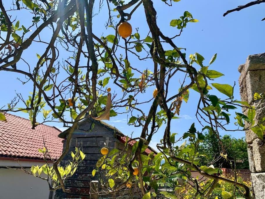 Casa Gerente Villa Мурос Екстериор снимка